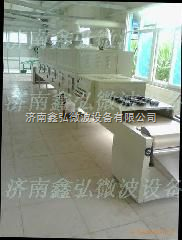 上海微波坚果干燥设备
