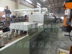 烟台微波鱼片干燥设备