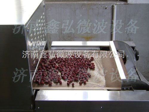 廊坊金丝枣烘干设备