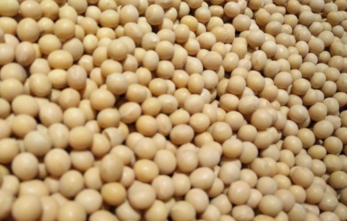 全國糧食和物資儲(chǔ)備系統(tǒng)糧食質(zhì)量安全工作會(huì)議在京召開
