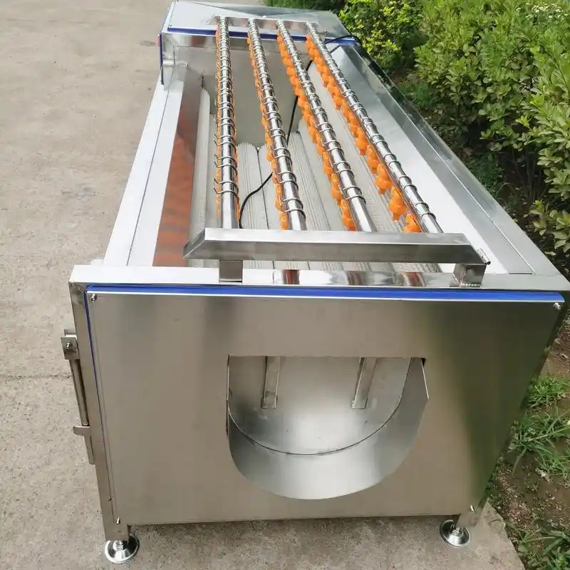 蔬菜毛輥清洗機(jī)