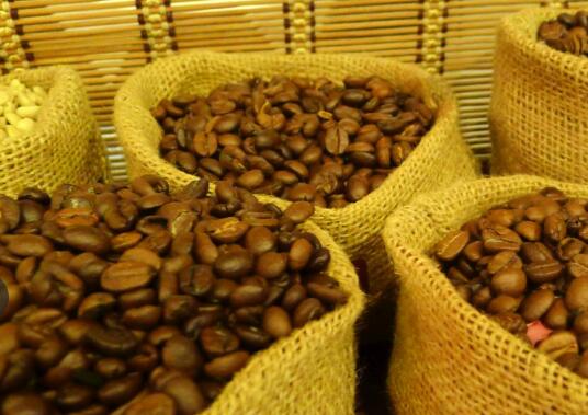 市人民政府办公厅关于贵阳贵安促进咖啡产业发展的实施意见（试行）