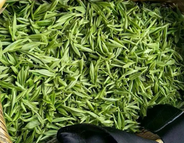 宜賓市川紅工夫紅茶首次叩開東盟市場