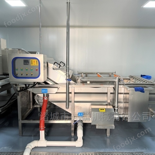 萵苣清洗機(jī)清洗竹筍機(jī)洗蘆筍機(jī)山野菜清洗