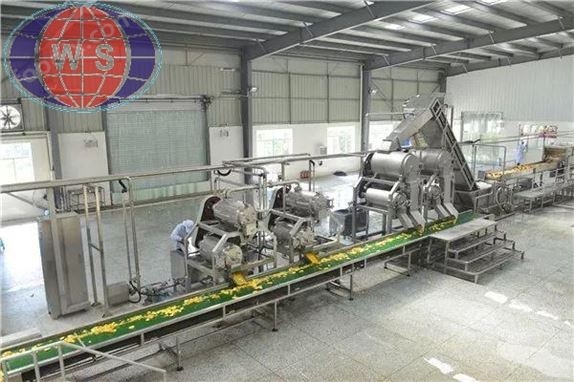 蘋果汁生產(chǎn)線設(shè)備