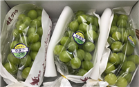 冷凍水果走紅，背后的食品機械有何 “功勞”