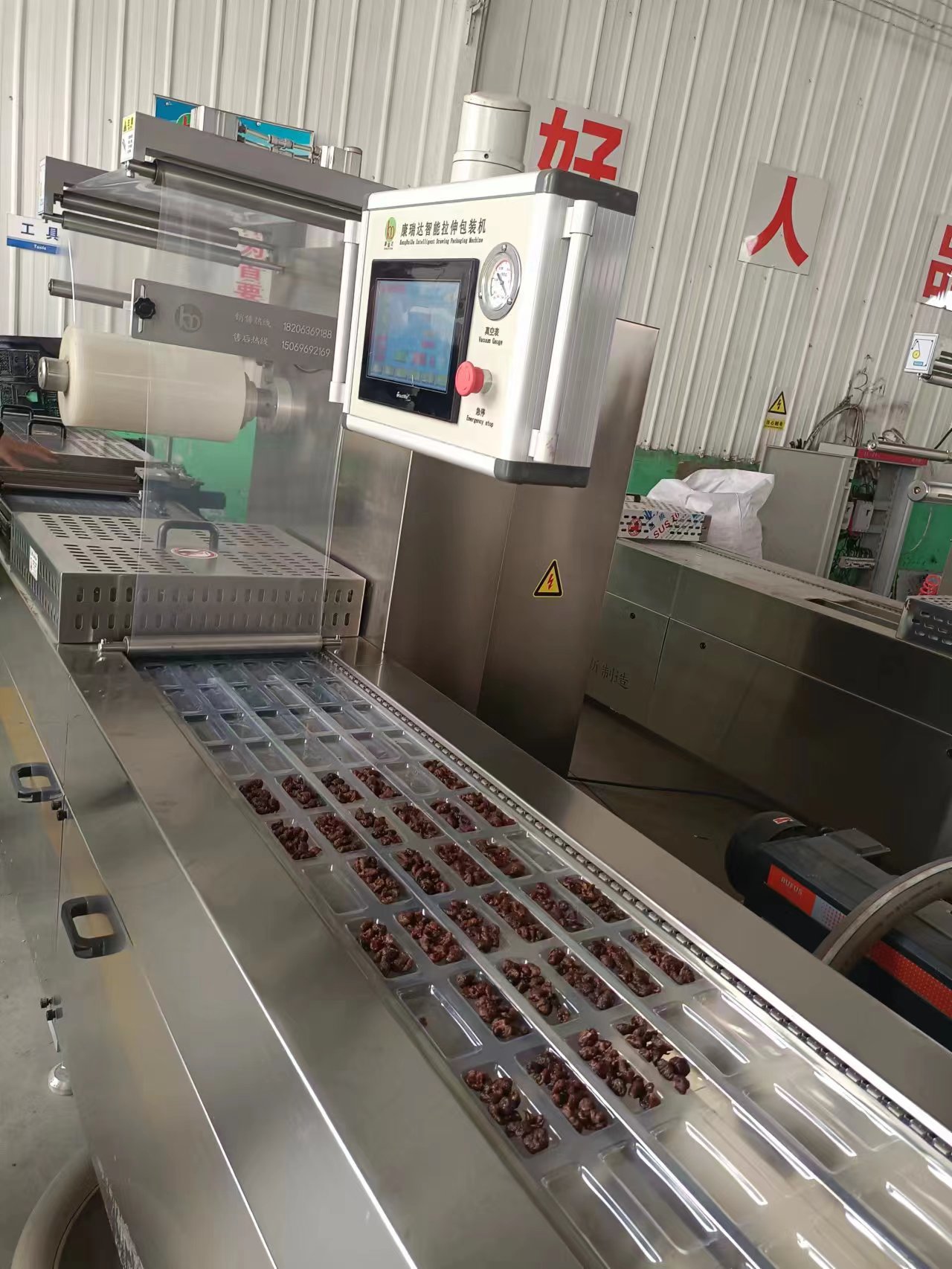 熟地黃拉伸膜真空包裝機