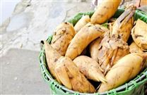 《桃江竹笋 笋干》《桃江竹笋 调制笋》《桃江竹笋 风味笋》团体标准联合发布