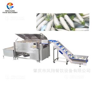 GL-380白萝卜清洗加工生产线