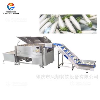 白萝卜清洗加工生产线